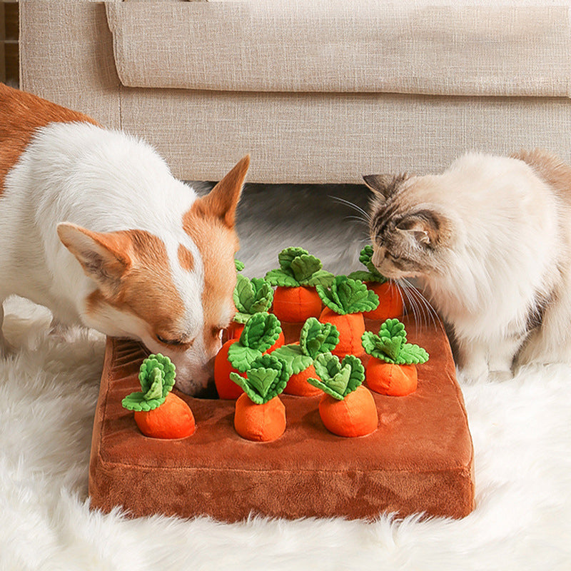 A corgi and a fluffy cat investigate a plush CarrotPatch garden toy with removable orange carrots.