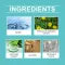 FreshScent Pet Deodorant Spray
