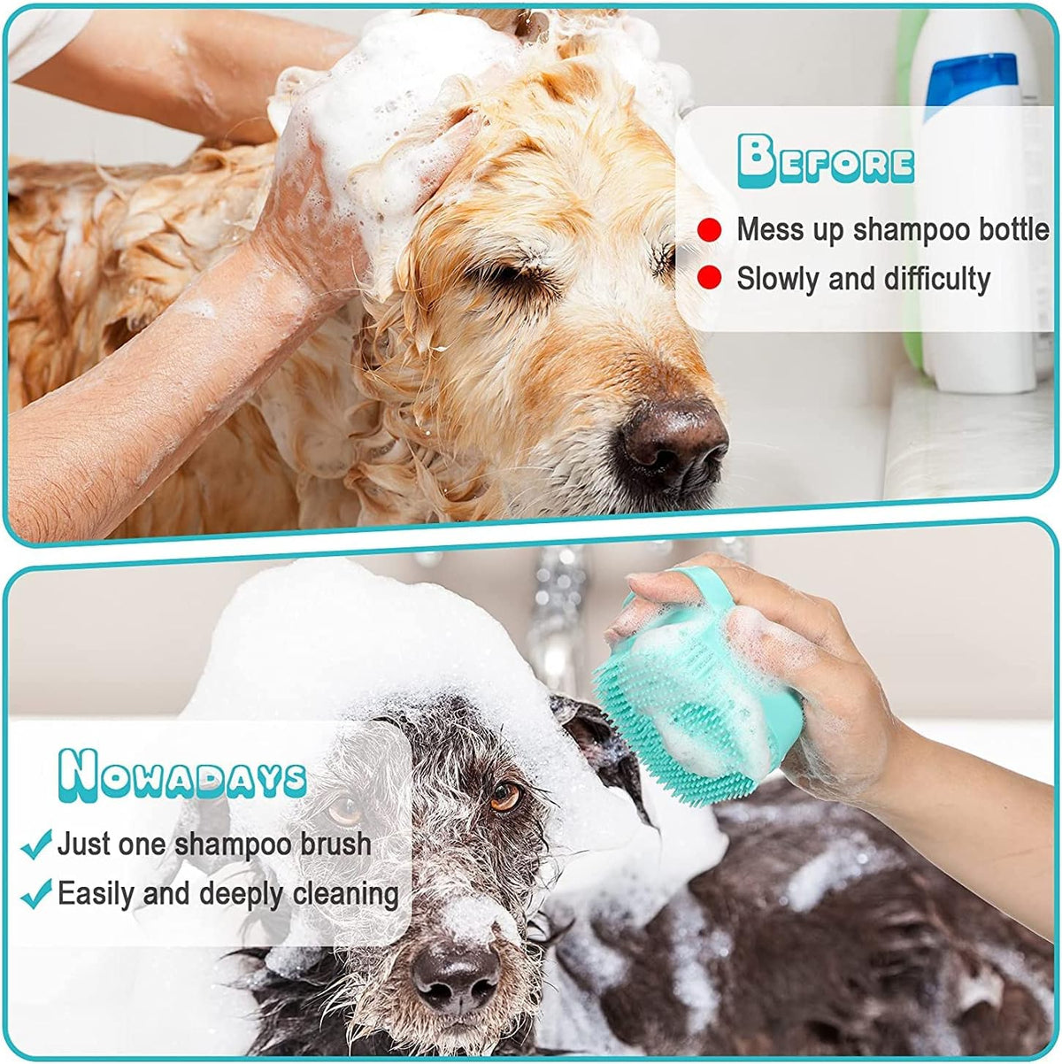 Home Grooming Kit